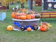 Dýňování s rodiči